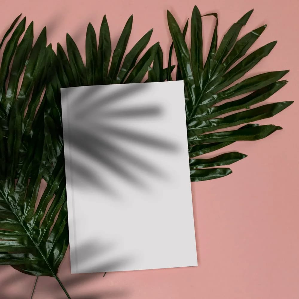 Trifold Pamphlets